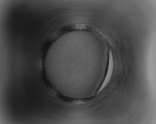 X0000087540704200705181049