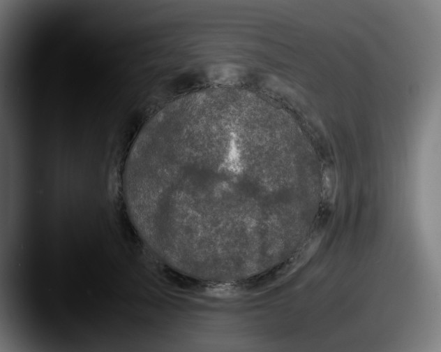 X0000087540705200705181049