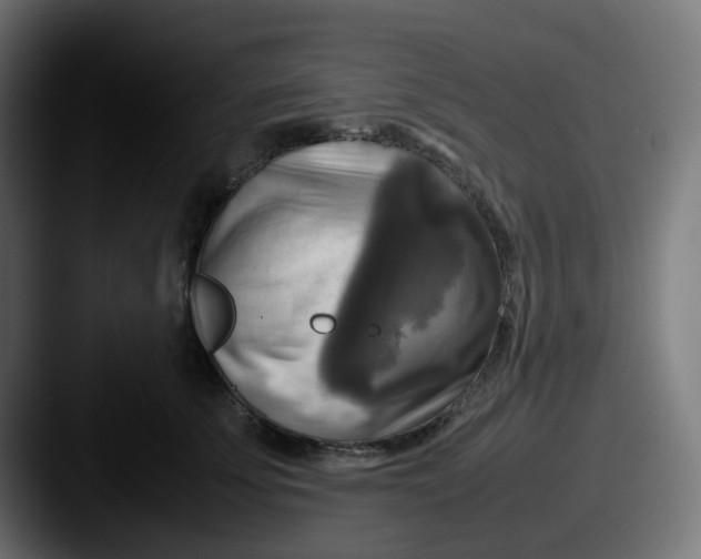 X0000087540707200705181049