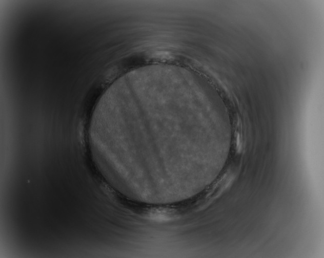 X0000087540708200705181049