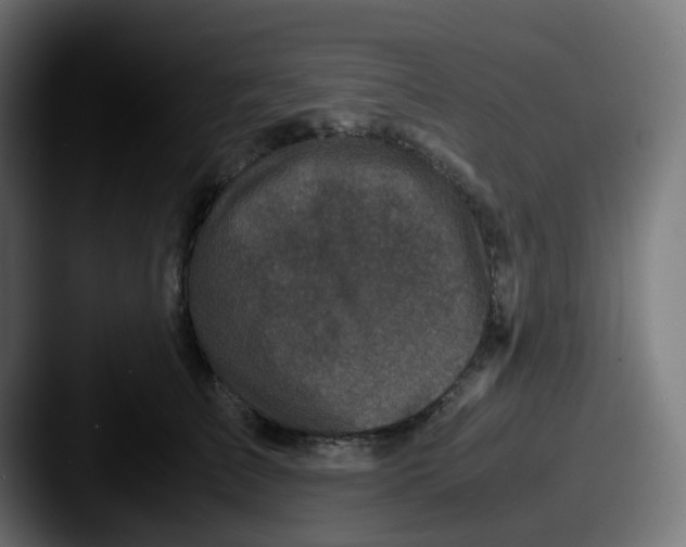 X0000087540709200705181048