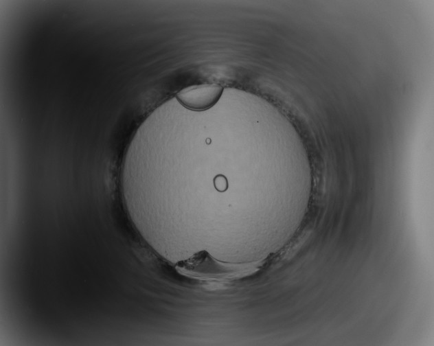 X0000087540710200705181048