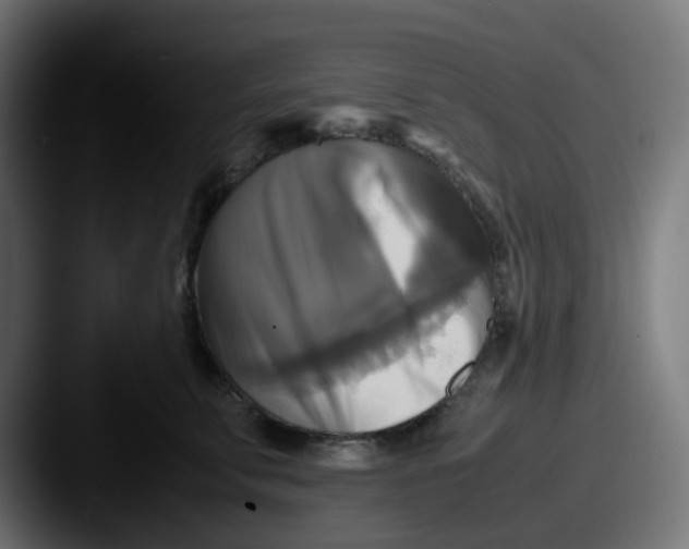 X0000087540711200705181048