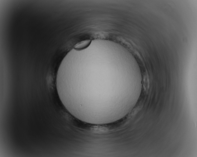 X0000087540714200705181048