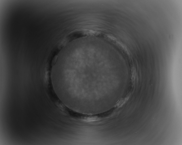 X0000087540716200705181048