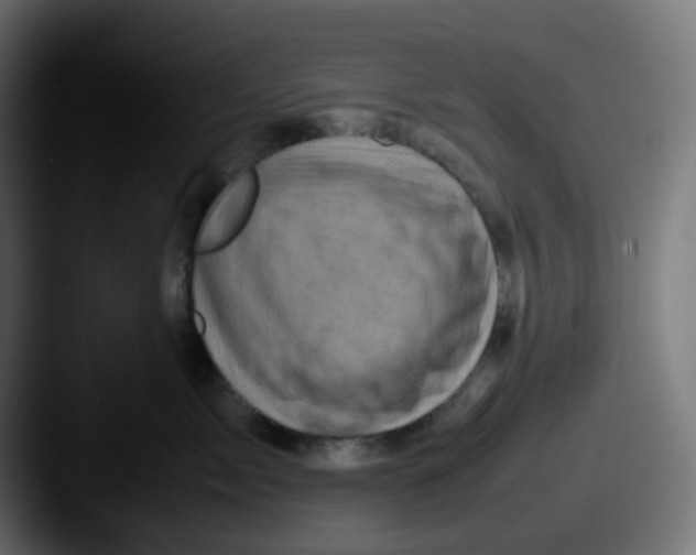 X0000087540717200705181048