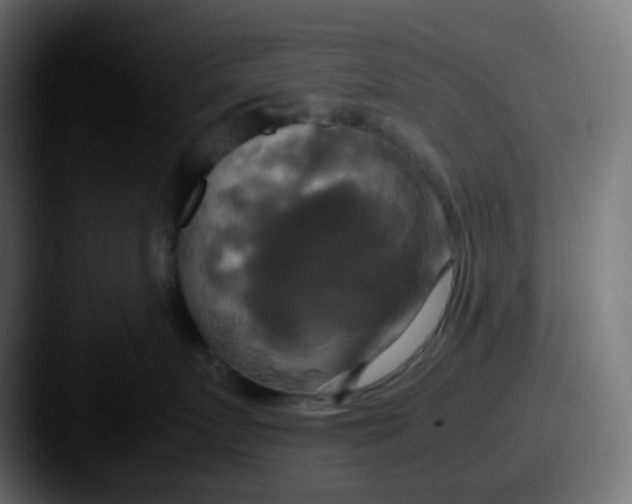 X0000087540719200705181048