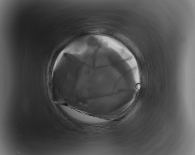 X0000087540721200705181048