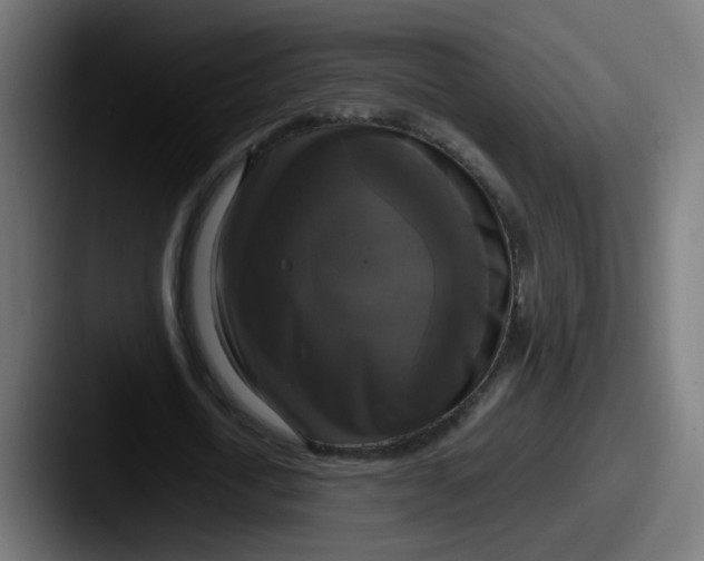 X0000087540722200705181048