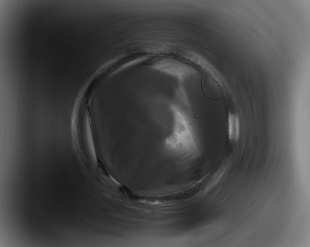 X0000087540723200705181048