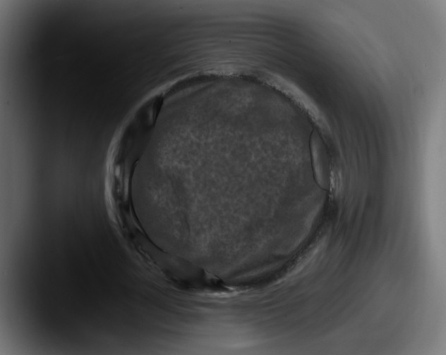 X0000087540724200705181048