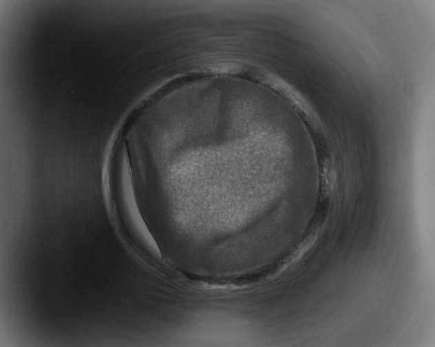 X0000087540726200705181048