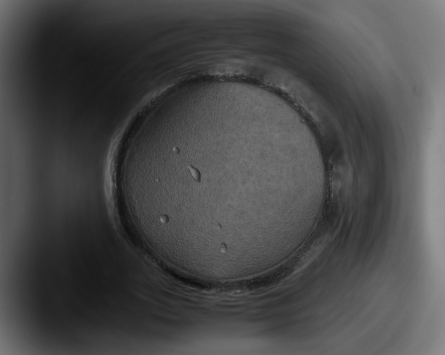 X0000087540727200705181048