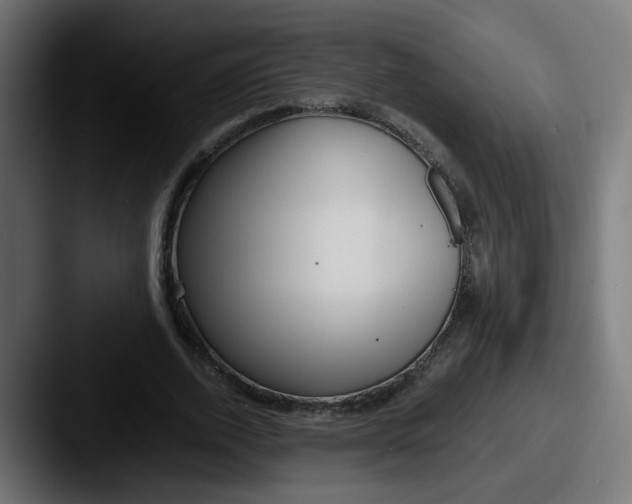 X0000087540728200705181048