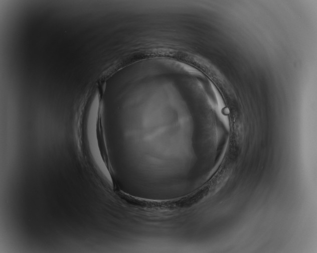 X0000087540729200705181048