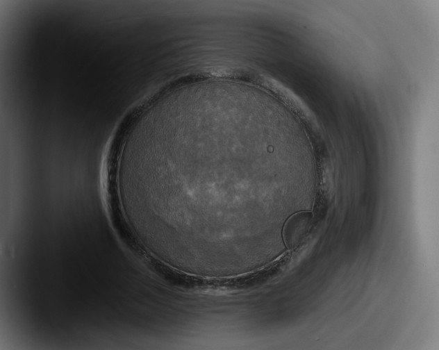 X0000087540730200705181048