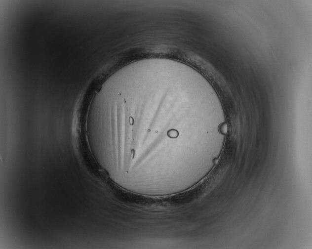 X0000087540731200705181048