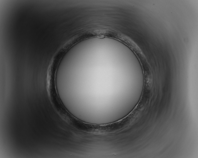 X0000087540732200705181048