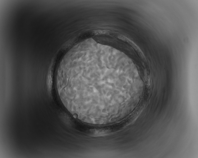 X0000087540733200705181048