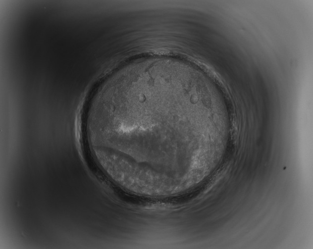 X0000087540734200705181048