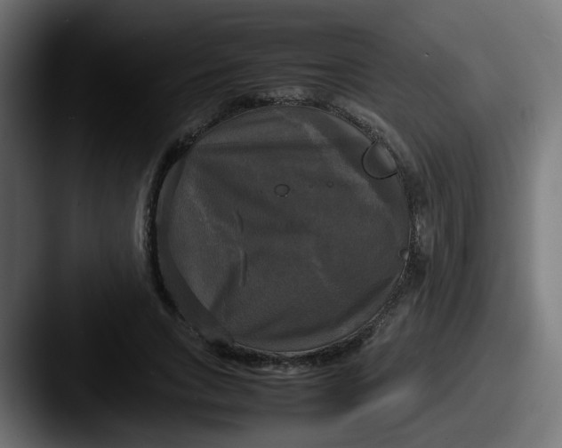 X0000087540735200705181048