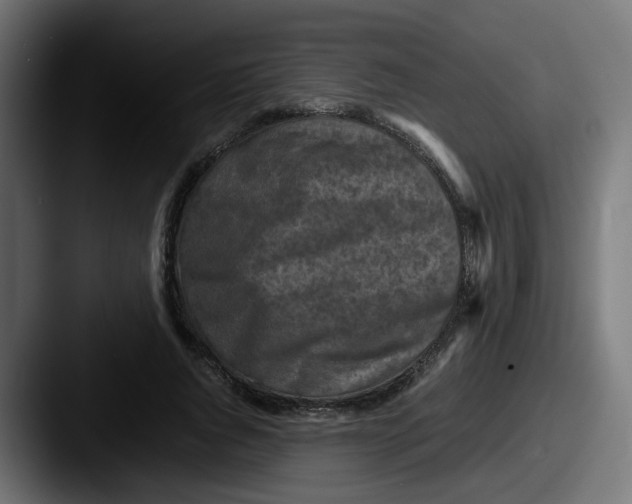 X0000087540736200705181048