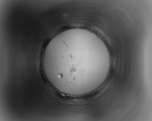 X0000087540737200705181048