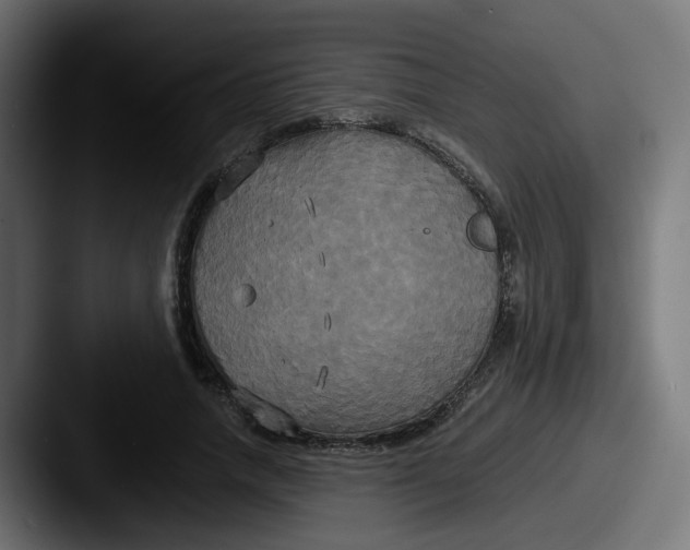 X0000087540738200705181048