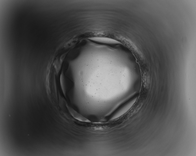 X0000087540740200705181048