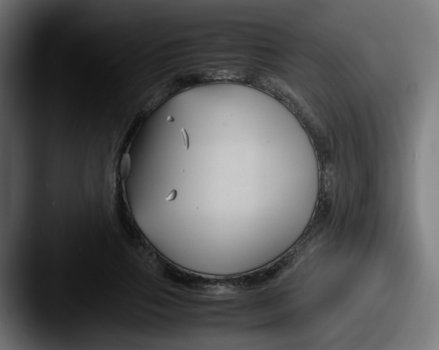 X0000087540741200705181048