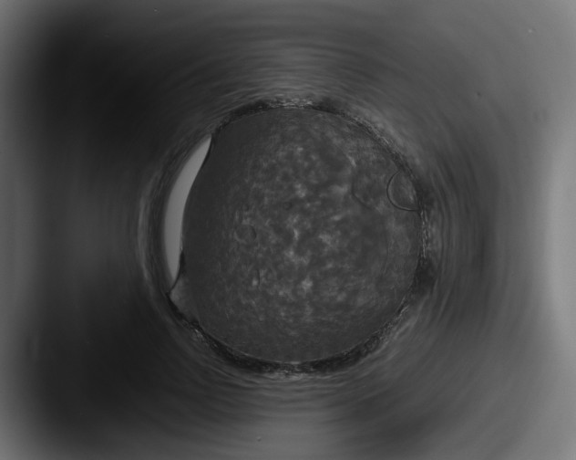 X0000087540742200705181048