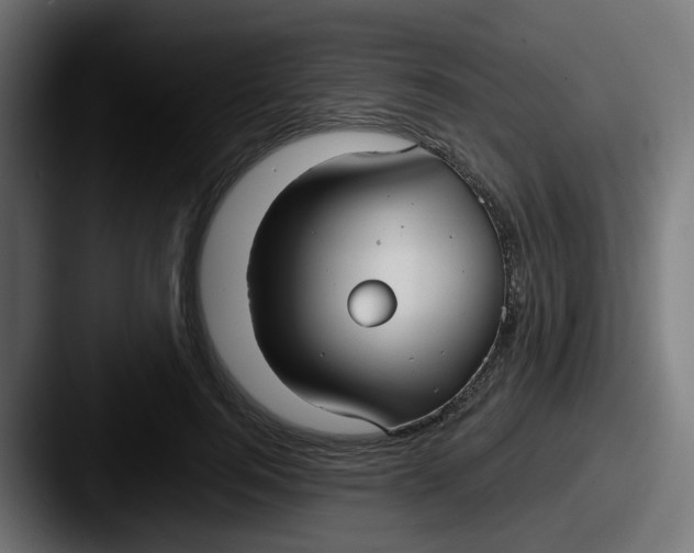 X0000087540744200705181048