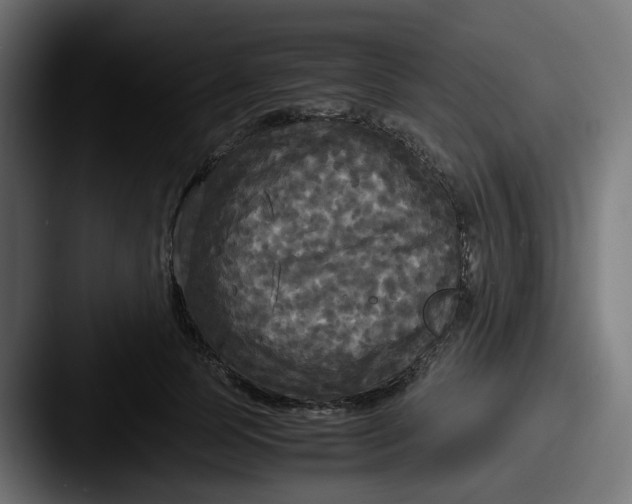 X0000087540745200705181048