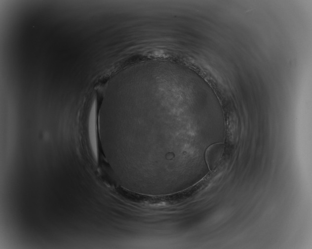 X0000087540747200705181048