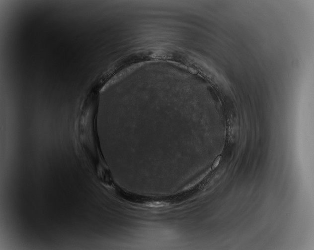 X0000087540748200705181048