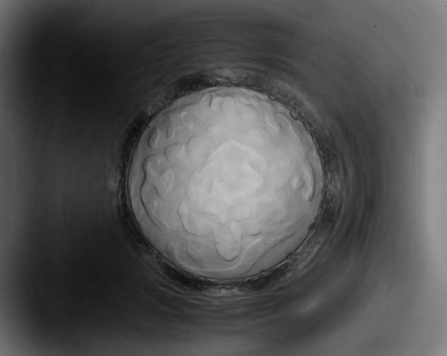 X0000087540749200705181048