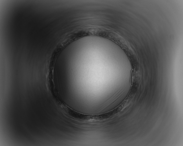 X0000087540750200705181048