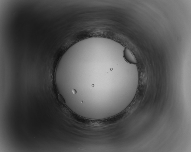 X0000087540753200705181048