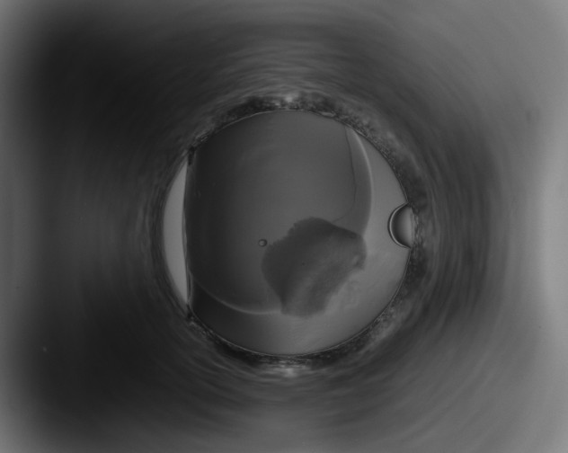 X0000087540754200705181048