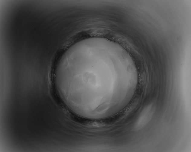 X0000087540755200705181048