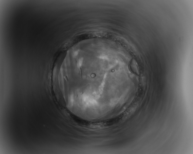 X0000087540757200705181048