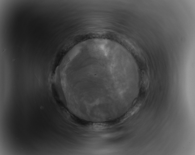 X0000087540758200705181048