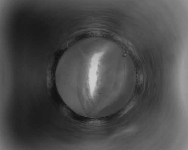 X0000087540759200705181048