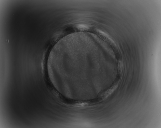 X0000087540760200705181048