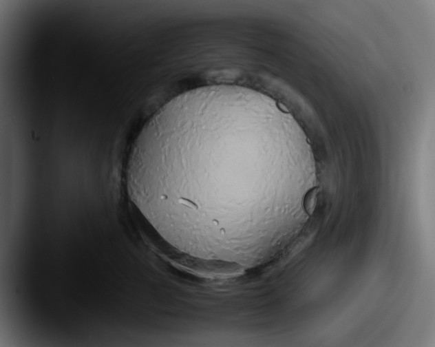 X0000087540761200705181048