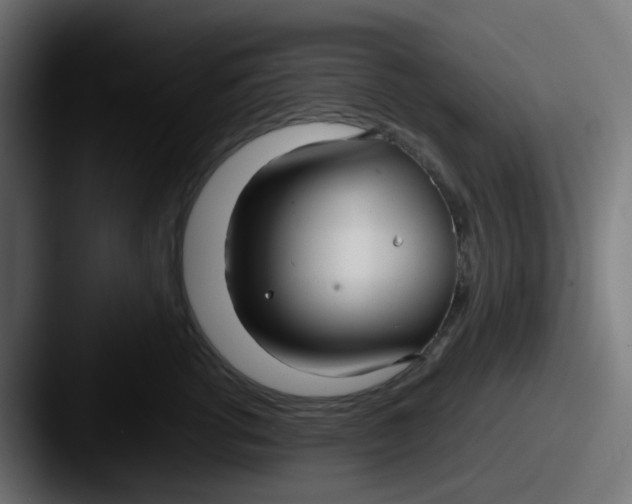 X0000087540762200705181048