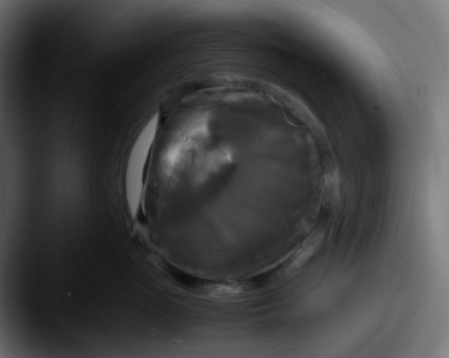 X0000087540765200705181048