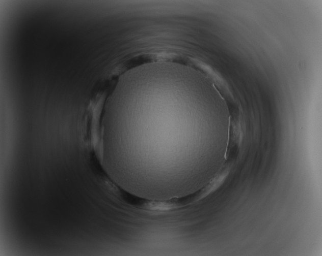 X0000087540766200705181048