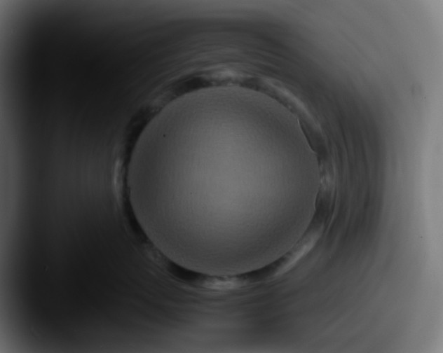 X0000087540767200705181048