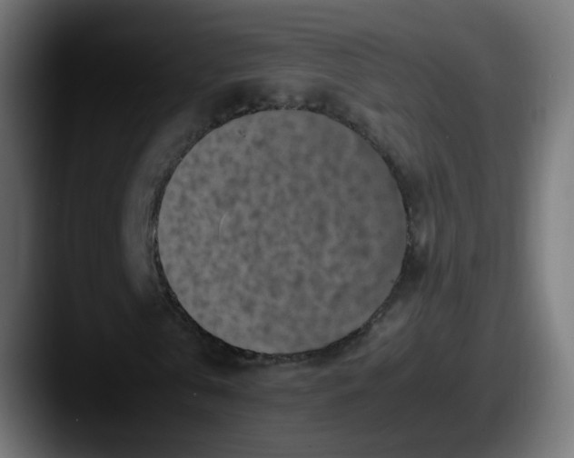 X0000087540769200705181048